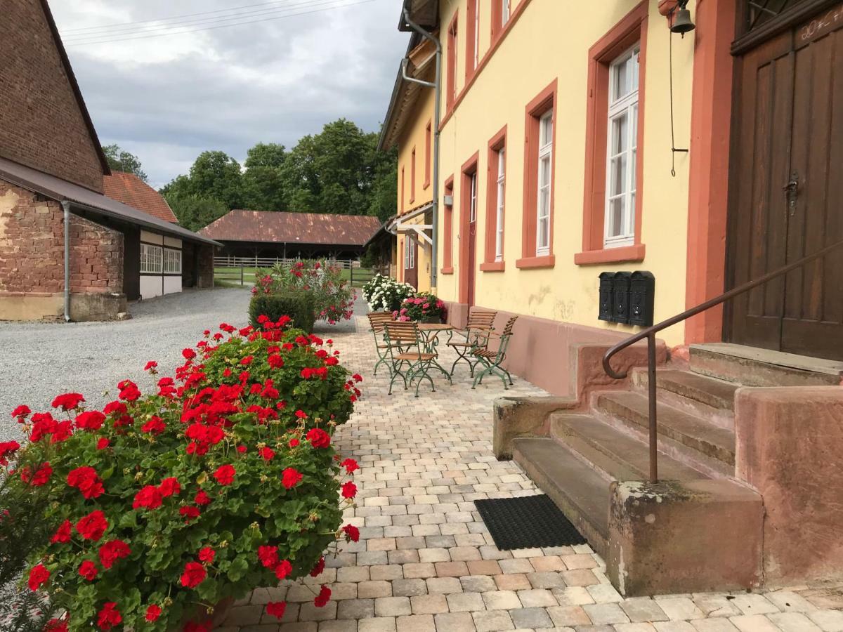 Elegantes Gästeapartment in Schloß und Hofgut Wiesenbach Exterior foto
